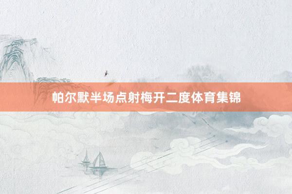 帕尔默半场点射梅开二度体育集锦